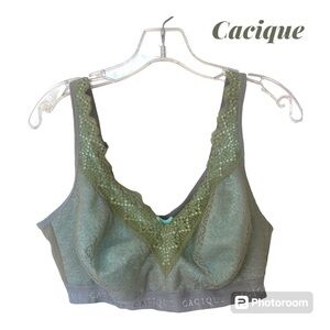 Cacique Olive Green Lace Cotton Unlined No Wire Bra